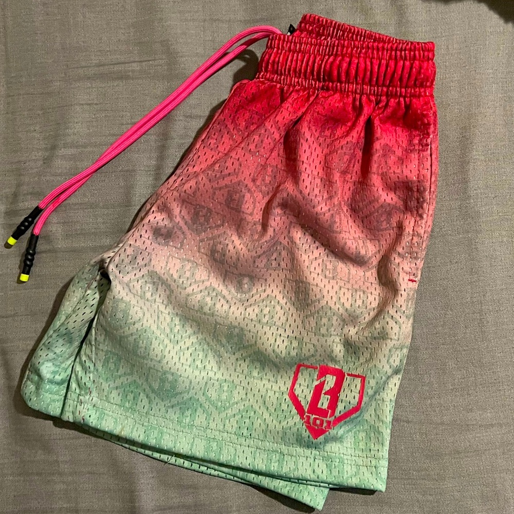 Baseball 101 shorts